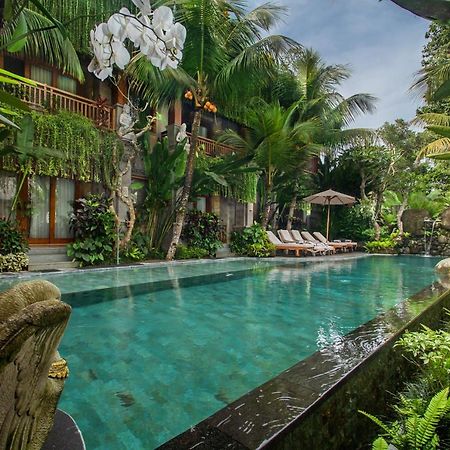Weda Cita Resort And Spa By Mahaputra ウブド エクステリア 写真 The swimming pool at the hotel